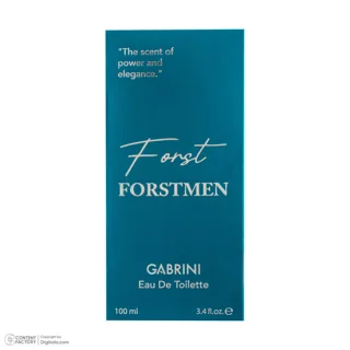 ادو تویلت مردانه گابرینی مدل Frostmen با رایحه خنک حجم 100 میلی لیتر 101555265