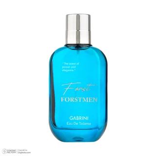 ادو تویلت مردانه گابرینی مدل Frostmen با رایحه خنک حجم 100 میلی لیتر 101555267
