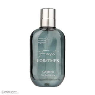 ادو تویلت مردانه گابرینی مدل Frostmen با رایحه معتدل حجم 100 میلی لیتر 101555202
