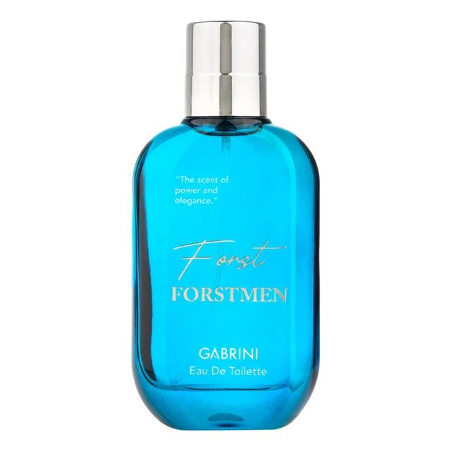 ادو تویلت مردانه گابرینی مدل Frostmen با رایحه خنک حجم 100 میلی لیتر 101555263