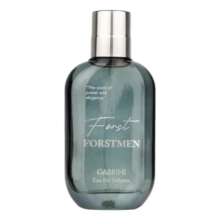 ادو تویلت مردانه گابرینی مدل Frostmen با رایحه معتدل حجم 100 میلی لیتر